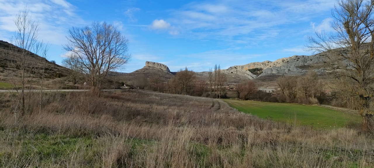 WhatsApp Image 2026-02-10 at 14.47.49 (6)